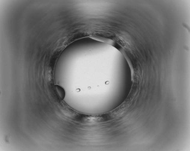 X0000096220323200802011349