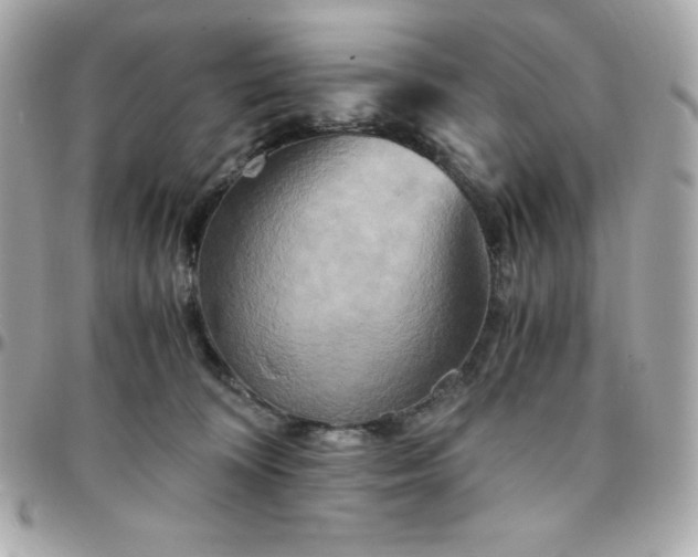 X0000096220324200802011349