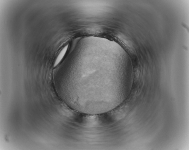 X0000096220325200802011349