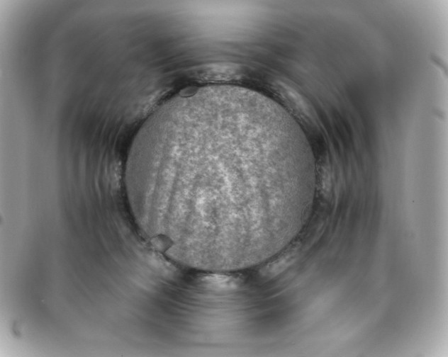 X0000096220326200802011348