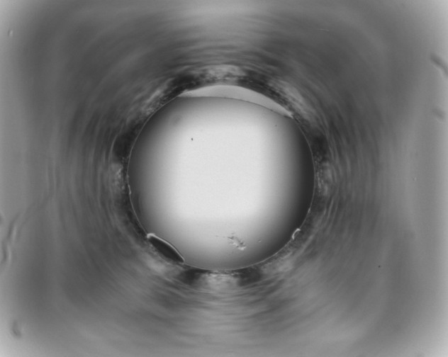 X0000096220327200802011348