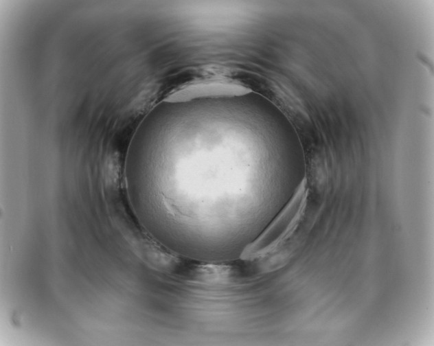 X0000096220328200802011348