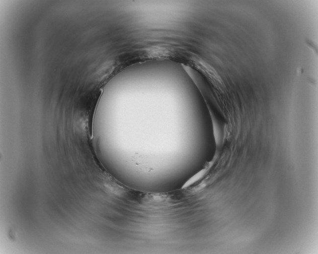 X0000096220329200802011348