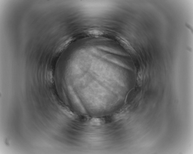 X0000096220330200802011348