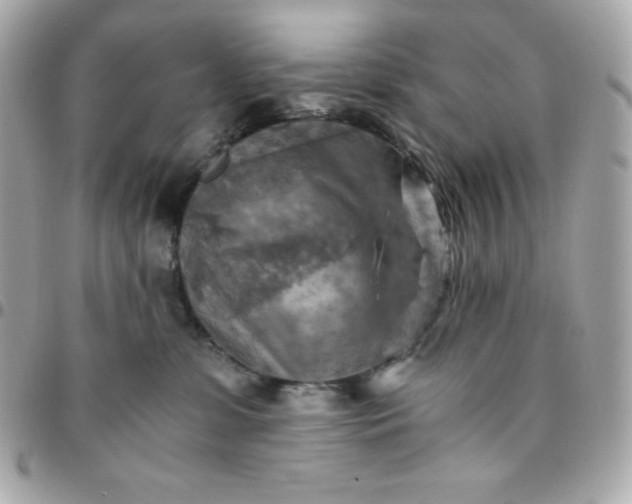 X0000096220331200802011348