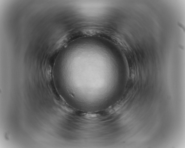 X0000096220332200802011348