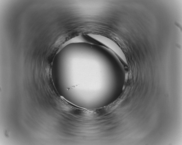 X0000096220333200802011348