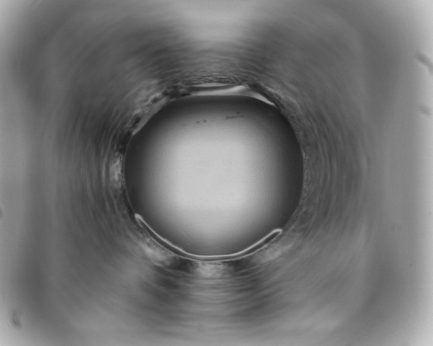 X0000096220336200802011348