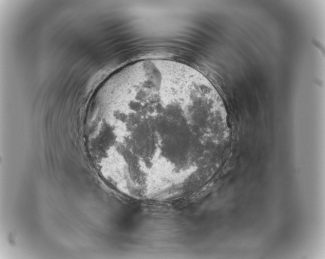 X0000096220337200802011348