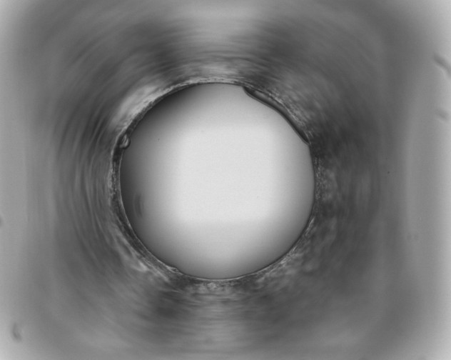 X0000096220338200802011348