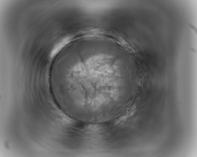 X0000096220341200802011348