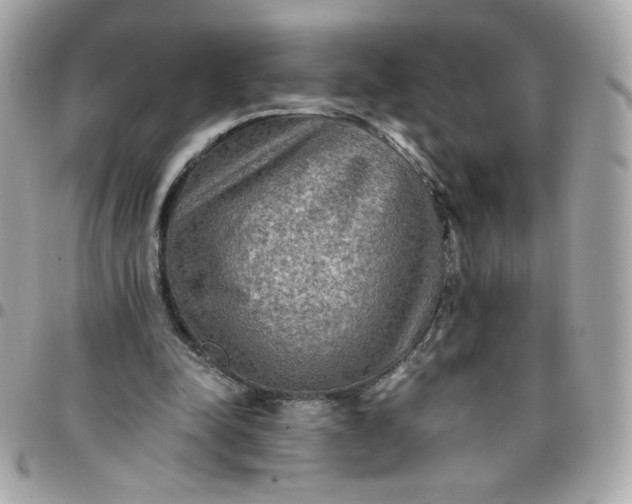 X0000096220342200802011348