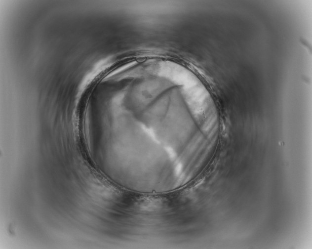 X0000096220343200802011348