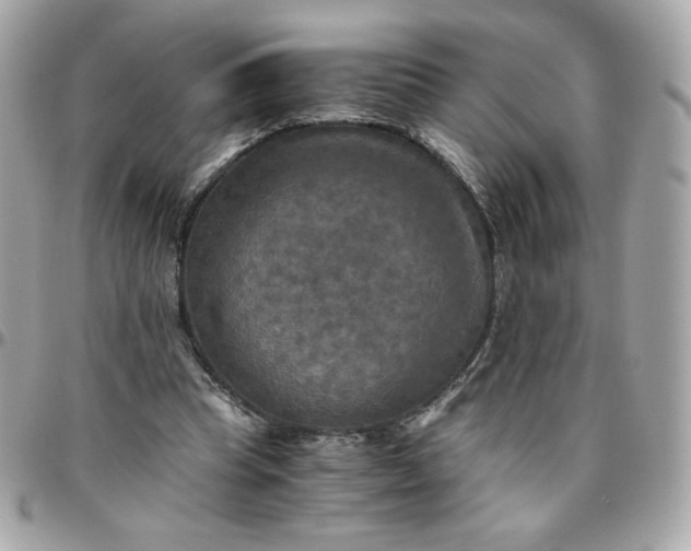 X0000096220345200802011348