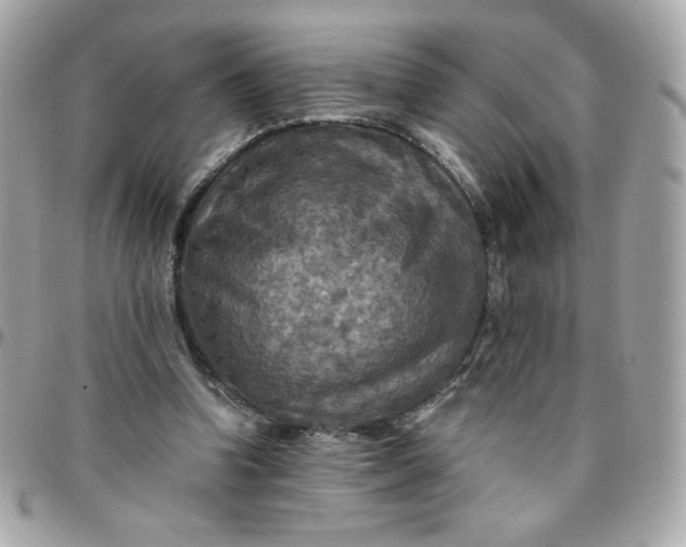 X0000096220346200802011348