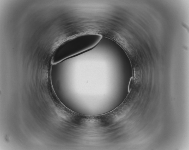 X0000096220348200802011348