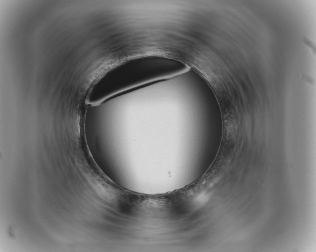 X0000096220350200802011348