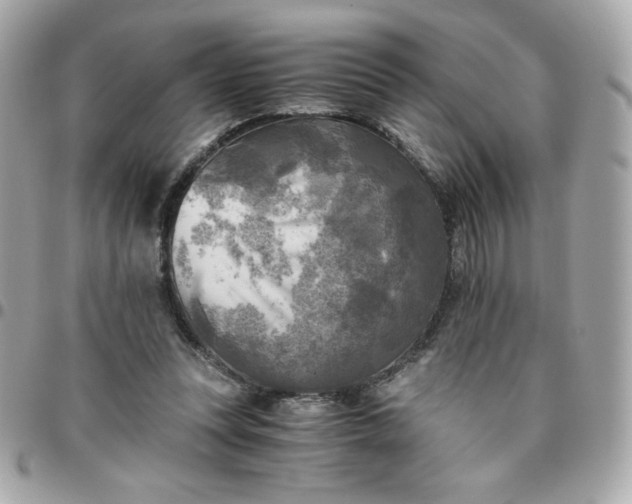 X0000096220351200802011348