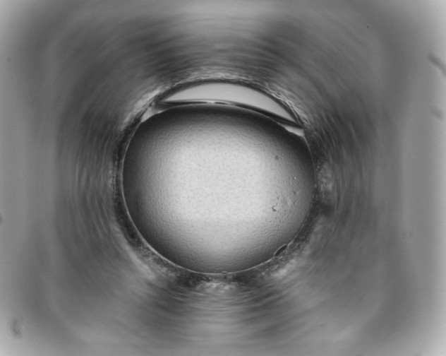 X0000096220352200802011348