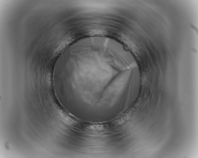 X0000096220353200802011348