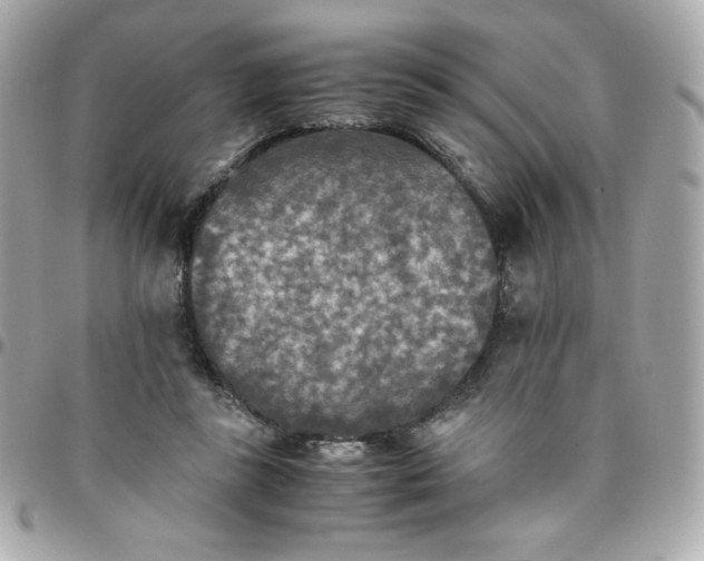 X0000096220355200802011348