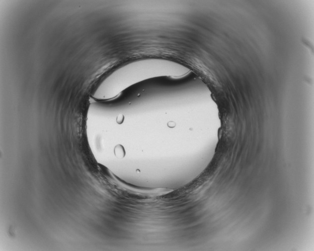 X0000096220356200802011348