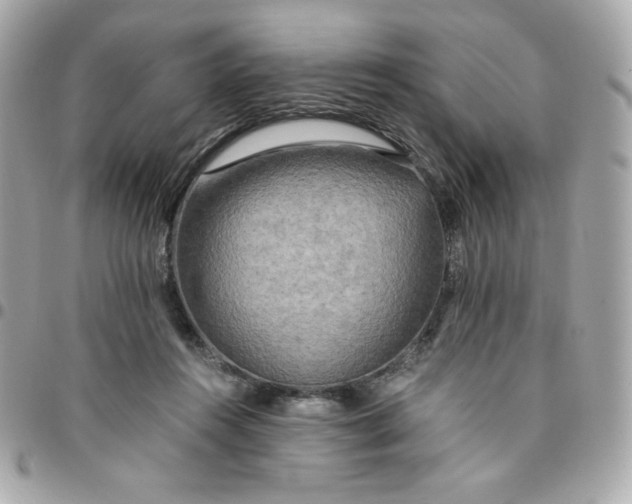 X0000096220360200802011348