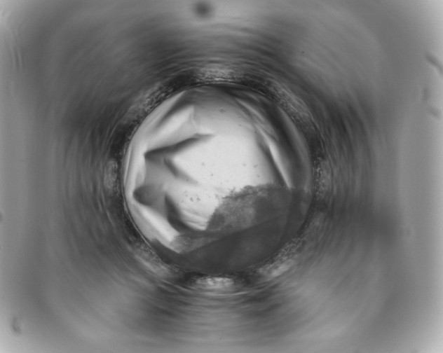 X0000096220361200802011348