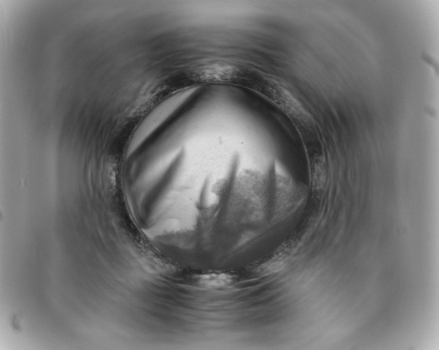 X0000096220363200802011348