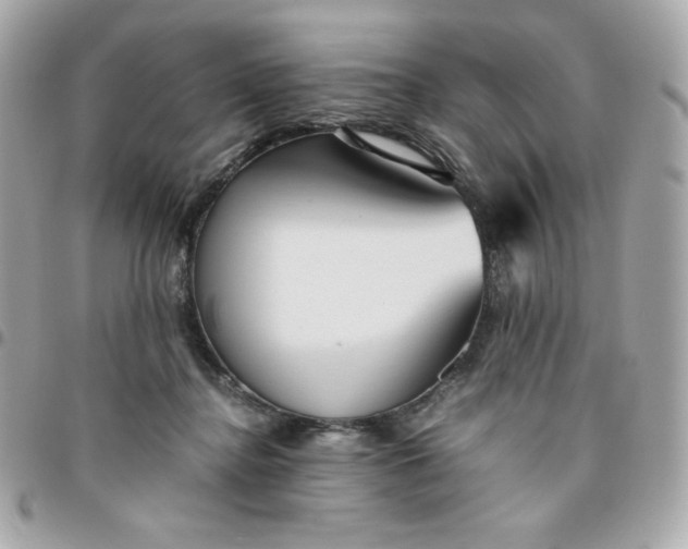 X0000096220364200802011348