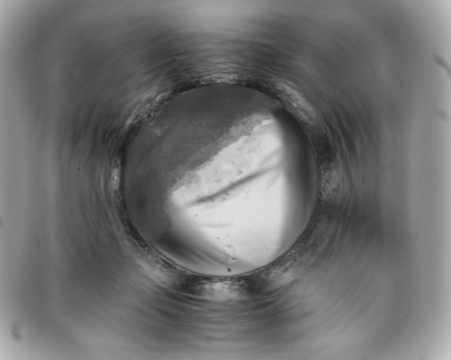 X0000096220365200802011348