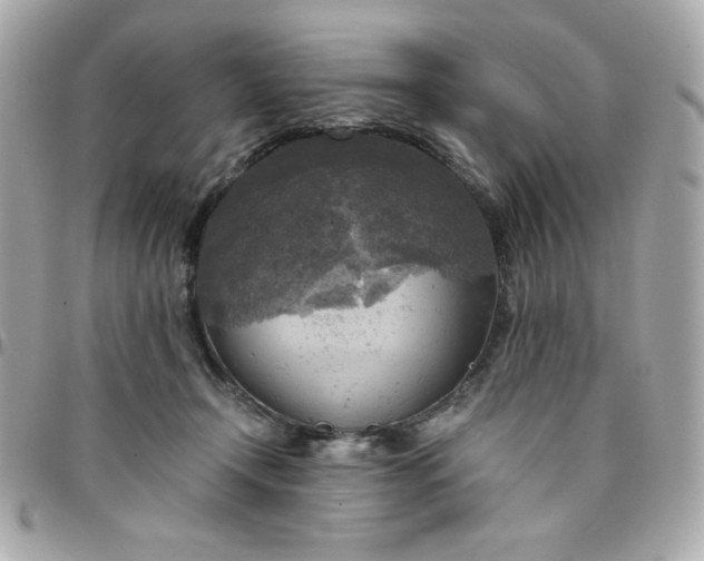 X0000096220366200802011348