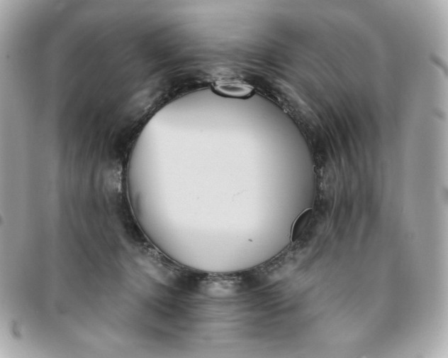 X0000096220368200802011348