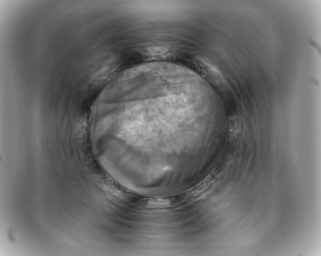 X0000096220369200802011348