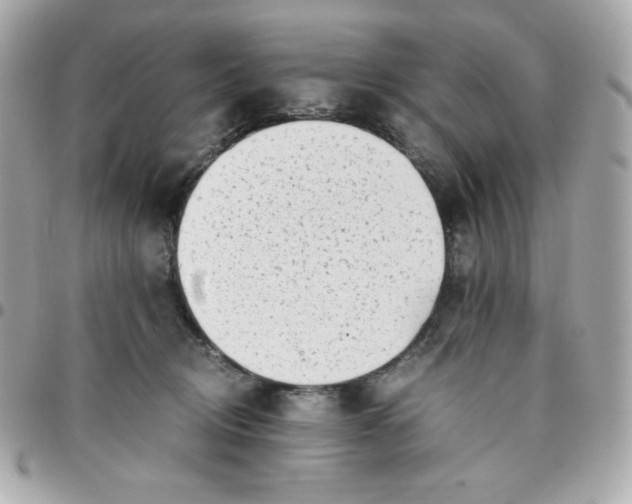 X0000096220370200802011348