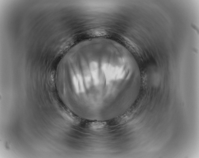 X0000096220373200802011348