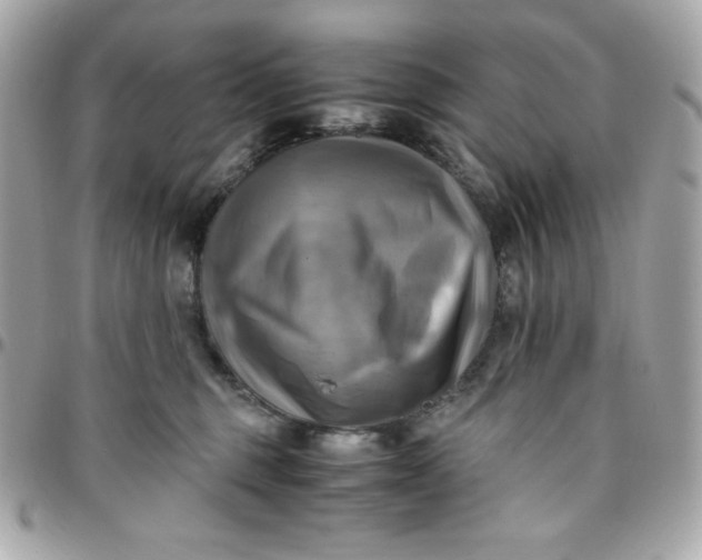 X0000096220375200802011348