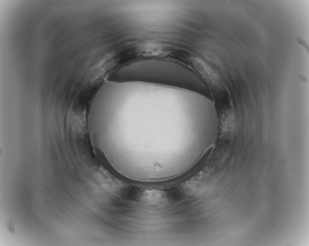 X0000096220376200802011348