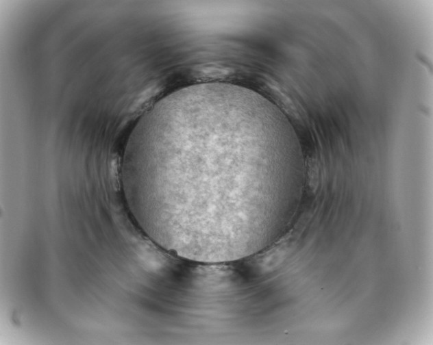 X0000096220378200802011348