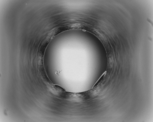 X0000096220379200802011348