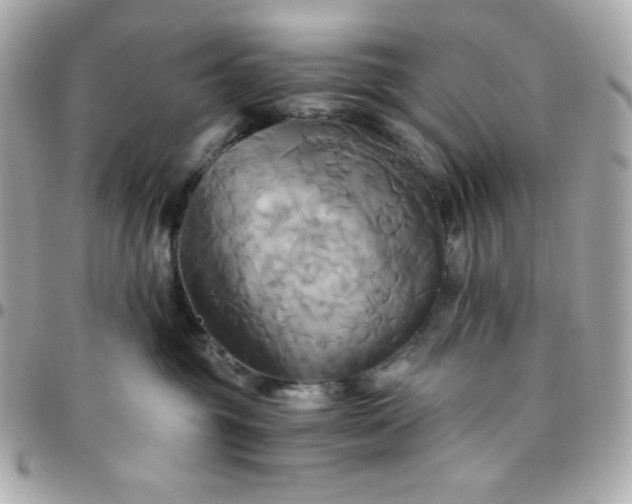 X0000096220381200802011348