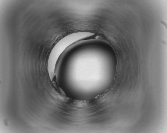 X0000096220384200802011348