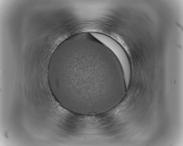 X0000096220385200802011348