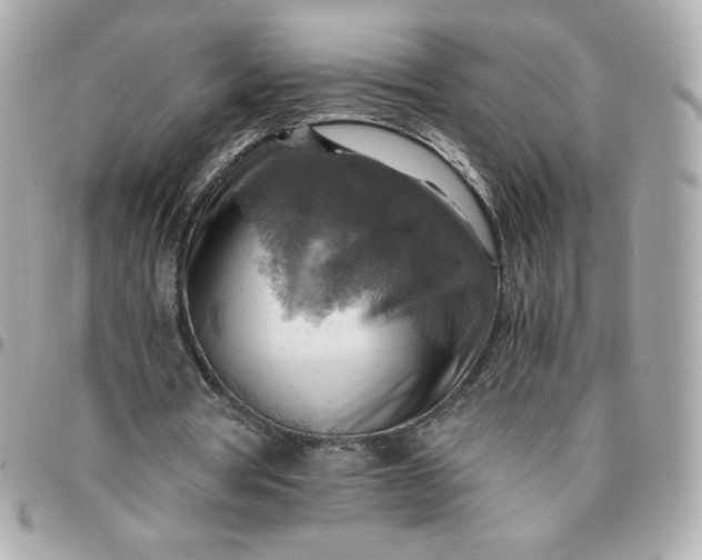 X0000096220386200802011348