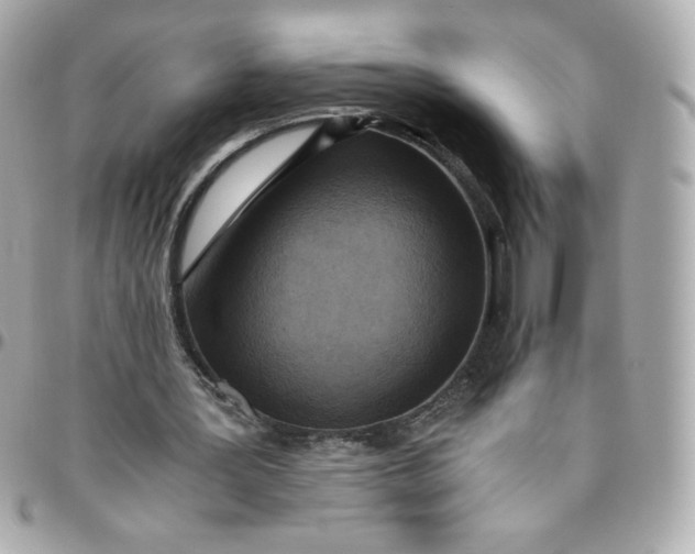 X0000096220387200802011348