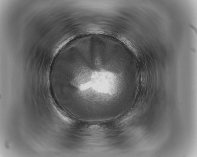 X0000096220390200802011348