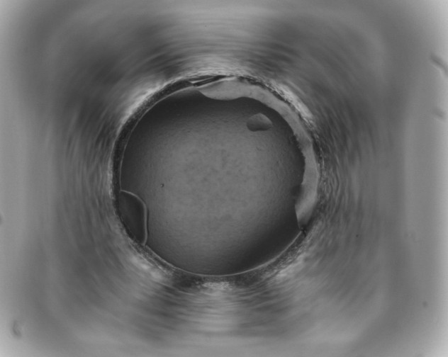 X0000096220391200802011348