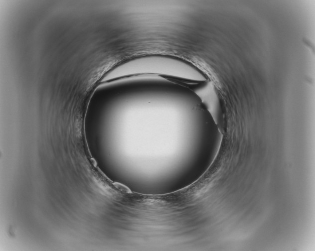 X0000096220393200802011348