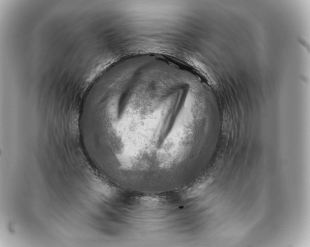 X0000096220394200802011348