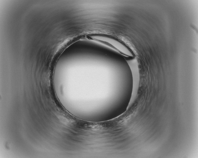 X0000096220395200802011348